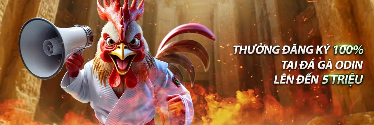 Hình ảnh Chính sách Cookie của awin login, bảo vệ dữ liệu và trải nghiệm người dùng